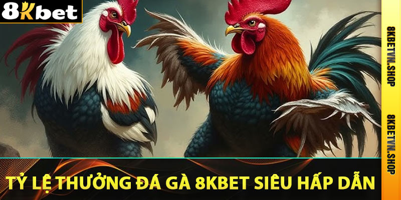 Tỷ lệ thưởng đá gà 8Kbet siêu hấp dẫn